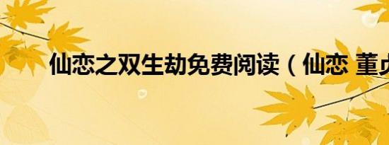 仙恋之双生劫免费阅读（仙恋 董贞）