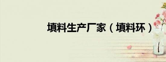 填料生产厂家（填料环）