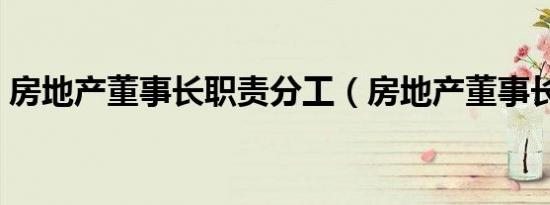 房地产董事长职责分工（房地产董事长职责）