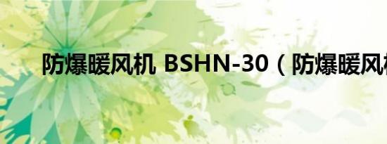防爆暖风机 BSHN-30（防爆暖风机）