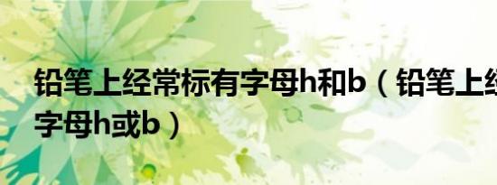 铅笔上经常标有字母h和b（铅笔上经常标有字母h或b）