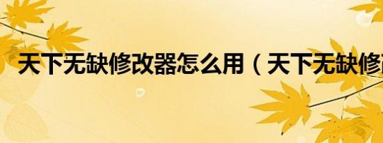 天下无缺修改器怎么用（天下无缺修改器）