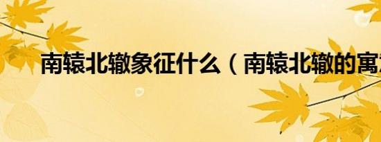 南辕北辙象征什么（南辕北辙的寓意）