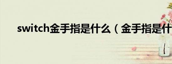 switch金手指是什么（金手指是什么）