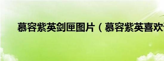 慕容紫英剑匣图片（慕容紫英喜欢谁）