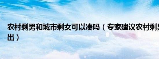 农村剩男和城市剩女可以凑吗（专家建议农村剩男向城市输出）