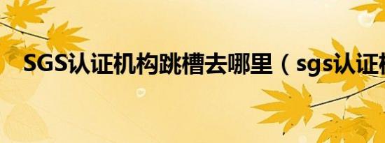SGS认证机构跳槽去哪里（sgs认证机构）