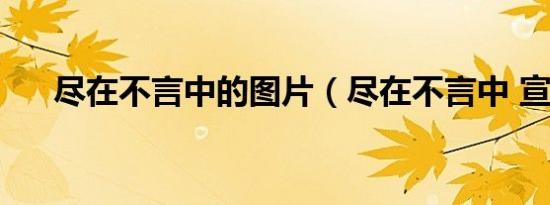 尽在不言中的图片（尽在不言中 宣芋）