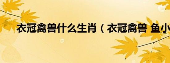 衣冠禽兽什么生肖（衣冠禽兽 鱼小肉）