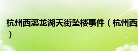 杭州西溪龙湖天街坠楼事件（杭州西溪数码港）