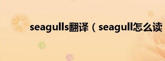seagulls翻译（seagull怎么读）