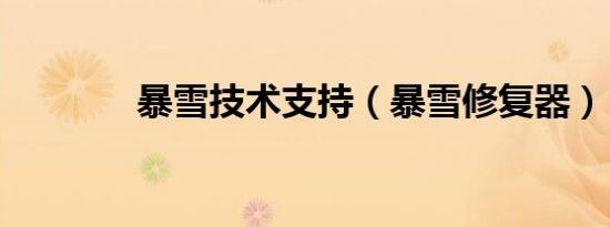 暴雪技术支持（暴雪修复器）