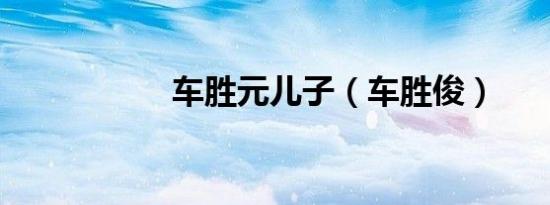 车胜元儿子（车胜俊）