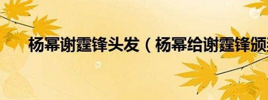 杨幂谢霆锋头发（杨幂给谢霆锋颁奖）