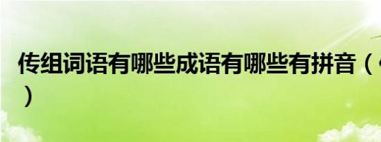 传组词语有哪些成语有哪些有拼音（传组词语）