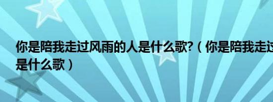 你是陪我走过风雨的人是什么歌?（你是陪我走过风雨的人是什么歌）