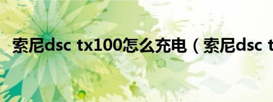 索尼dsc tx100怎么充电（索尼dsc t110）