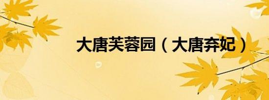 大唐芙蓉园（大唐弃妃）