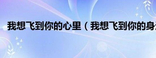 我想飞到你的心里（我想飞到你的身边去）