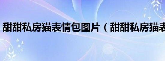 甜甜私房猫表情包图片（甜甜私房猫表情包）