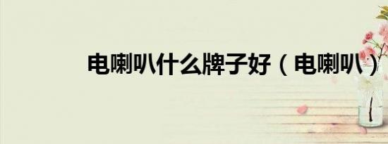 电喇叭什么牌子好（电喇叭）