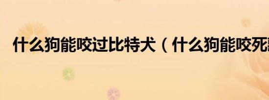 什么狗能咬过比特犬（什么狗能咬死藏獒）
