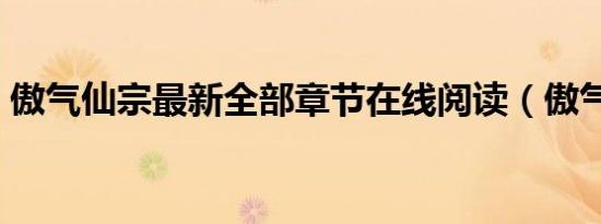 傲气仙宗最新全部章节在线阅读（傲气仙宗）