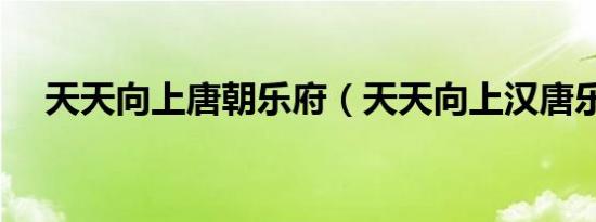 天天向上唐朝乐府（天天向上汉唐乐府）
