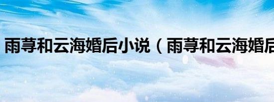 雨荨和云海婚后小说（雨荨和云海婚后故事）