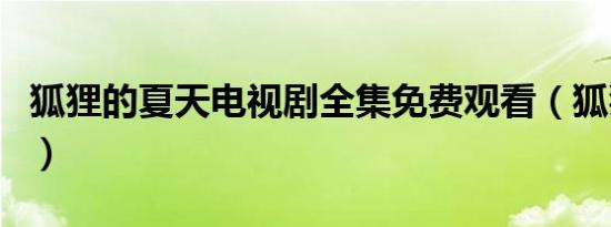 狐狸的夏天电视剧全集免费观看（狐狸雨铃声）