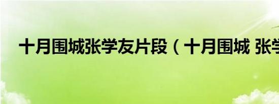 十月围城张学友片段（十月围城 张学友）