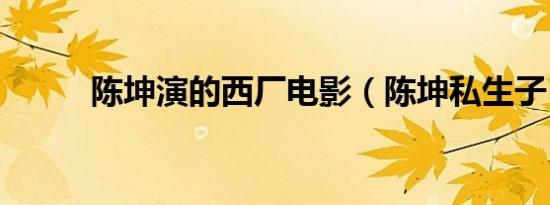 陈坤演的西厂电影（陈坤私生子）