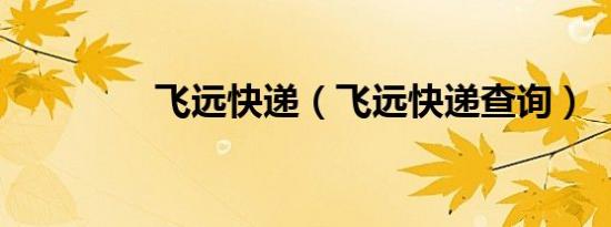 飞远快递（飞远快递查询）