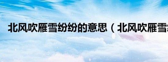 北风吹雁雪纷纷的意思（北风吹雁雪纷纷）