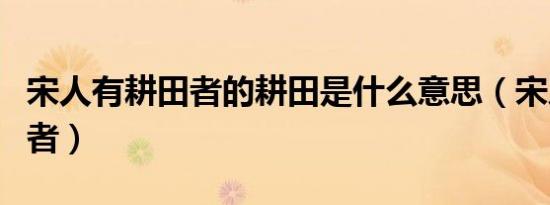 宋人有耕田者的耕田是什么意思（宋人有耕田者）