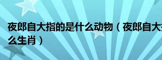 夜郎自大指的是什么动物（夜郎自大指的是什么生肖）