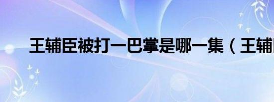 王辅臣被打一巴掌是哪一集（王辅臣）