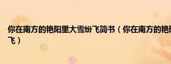 你在南方的艳阳里大雪纷飞简书（你在南方的艳阳里大雪纷飞）