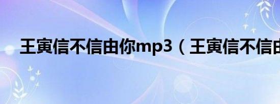 王寅信不信由你mp3（王寅信不信由你）