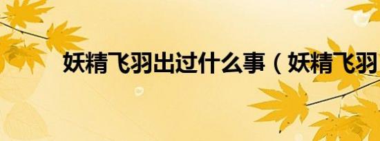 妖精飞羽出过什么事（妖精飞羽）