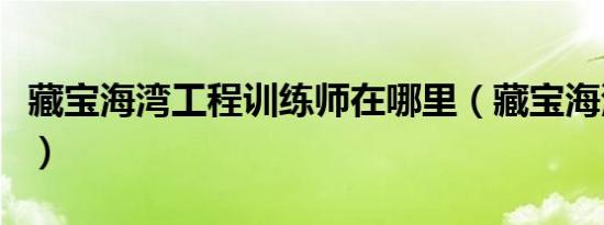 藏宝海湾工程训练师在哪里（藏宝海湾拍卖行）