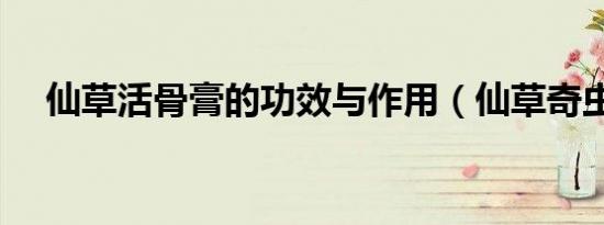仙草活骨膏的功效与作用（仙草奇虫贴）