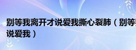 别等我离开才说爱我撕心裂肺（别等我离开才说爱我）