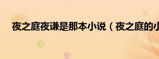 夜之庭夜谦是那本小说（夜之庭的小说）