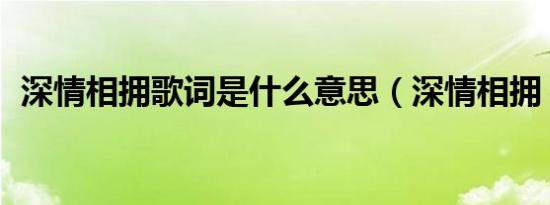 深情相拥歌词是什么意思（深情相拥 歌词）