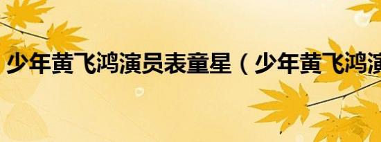 少年黄飞鸿演员表童星（少年黄飞鸿演员表）