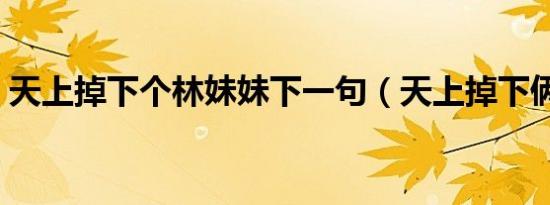 天上掉下个林妹妹下一句（天上掉下俩大神）