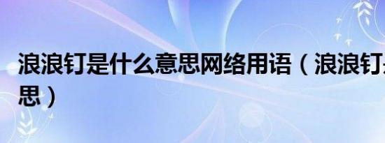 浪浪钉是什么意思网络用语（浪浪钉是什么意思）