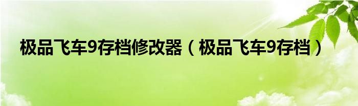 极品飞车9存档修改器（极品飞车9存档）