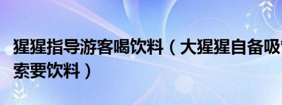 猩猩指导游客喝饮料（大猩猩自备吸管向游客索要饮料）